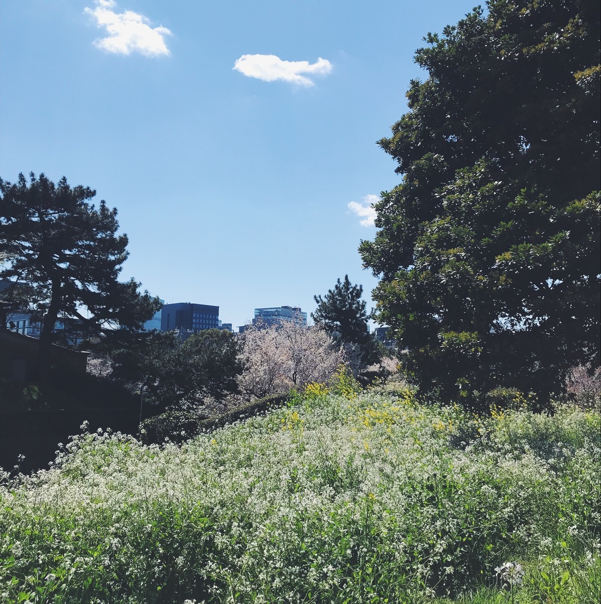 f:id:asacafe:20190416084453j:plain f:id:asacafe:20190416084453j:plain