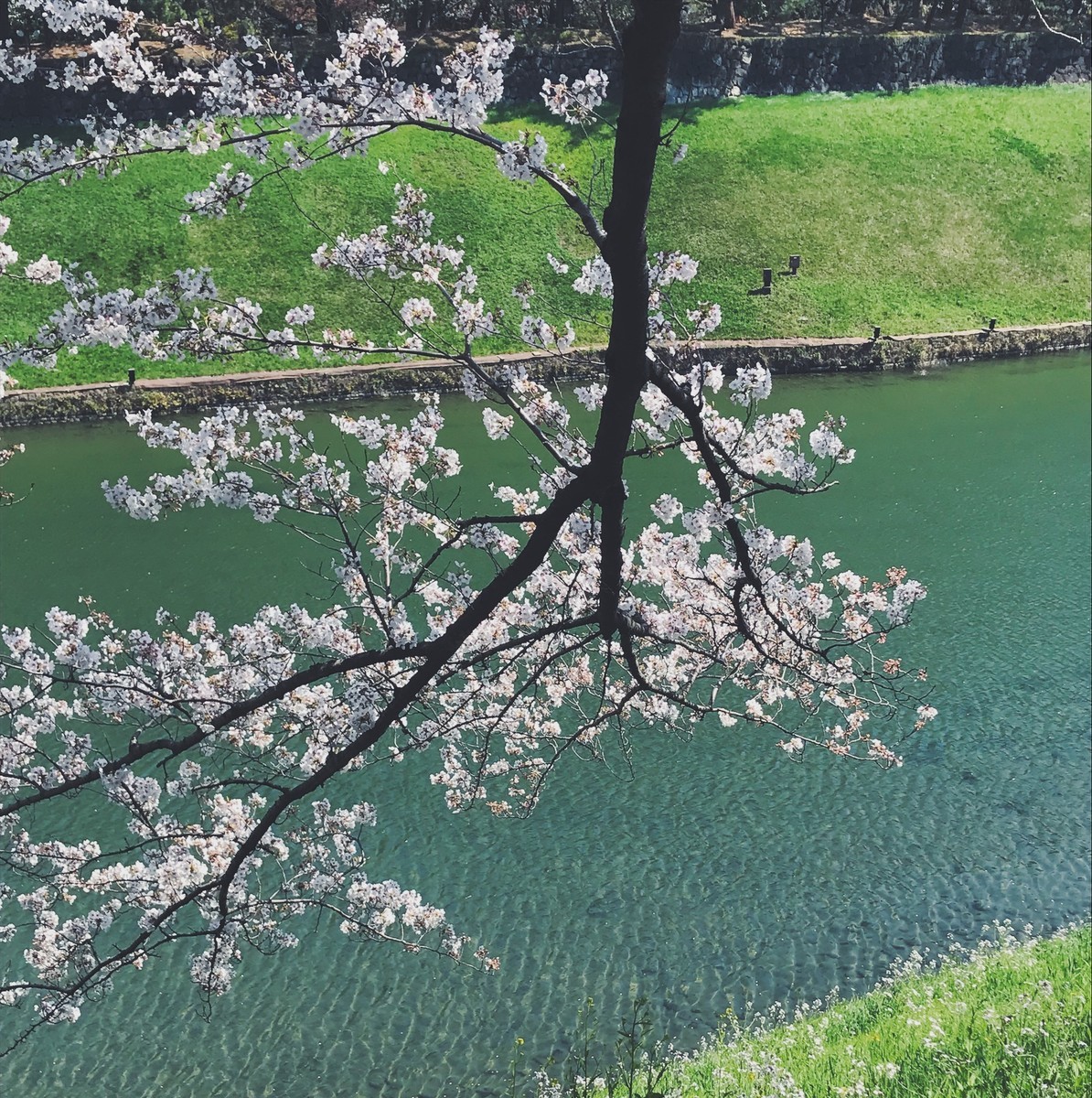 f:id:asacafe:20190416085122j:plain f:id:asacafe:20190416085122j:plain