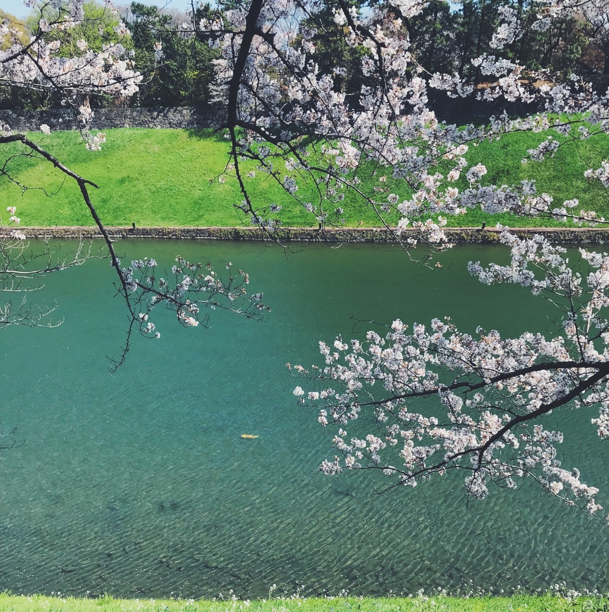 f:id:asacafe:20190416085158j:plain f:id:asacafe:20190416085158j:plain
