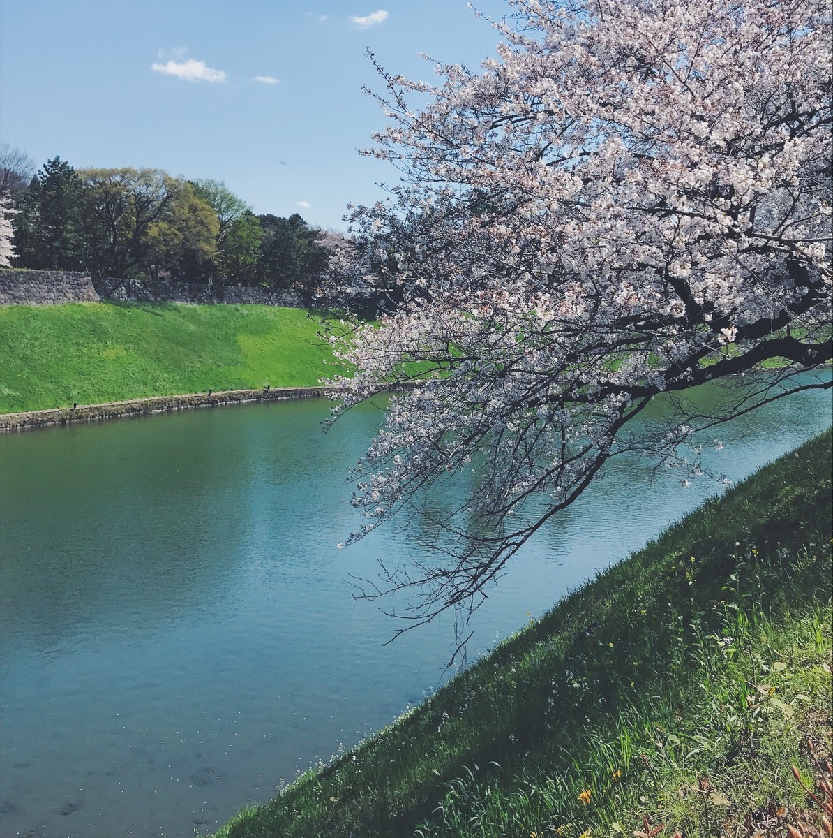 f:id:asacafe:20190416085255j:plain f:id:asacafe:20190416085255j:plain