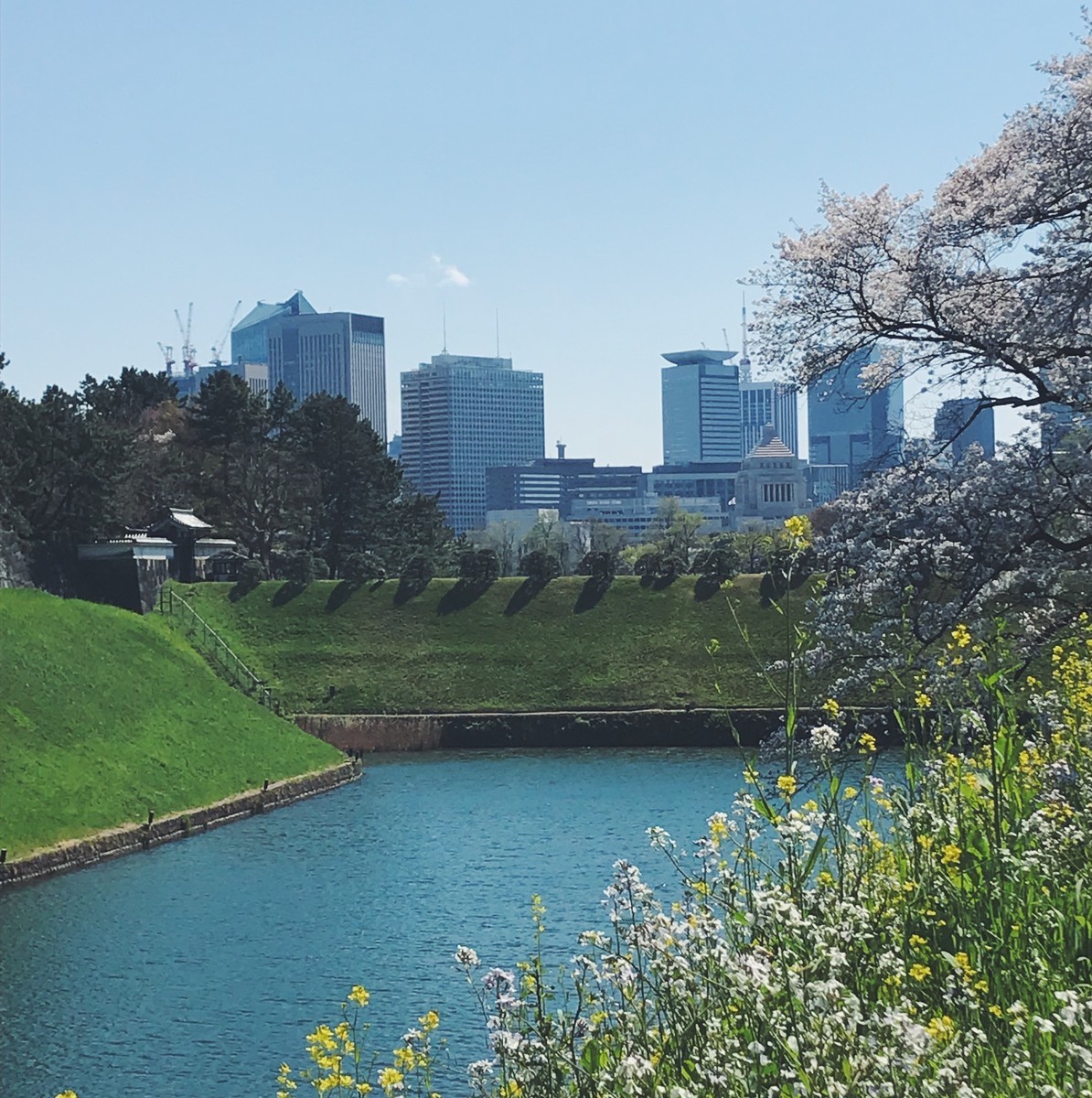 f:id:asacafe:20190416085616j:plain f:id:asacafe:20190416085616j:plain