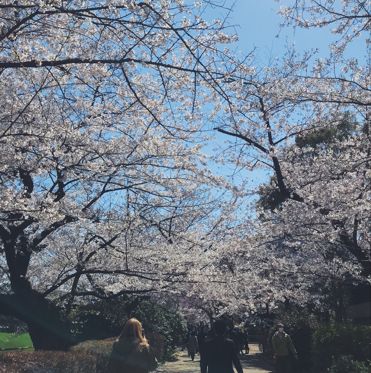 f:id:asacafe:20190416090252j:plain f:id:asacafe:20190416090252j:plain