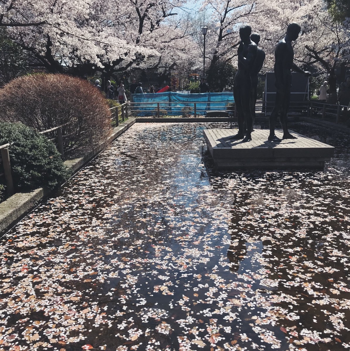 f:id:asacafe:20190416090321j:plain f:id:asacafe:20190416090321j:plain