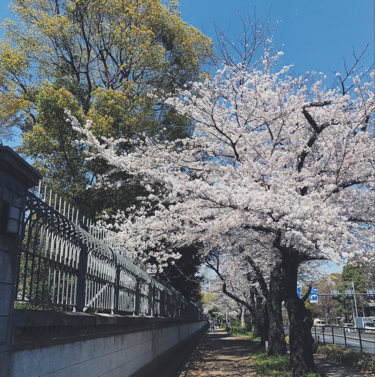 f:id:asacafe:20190416090424j:plain f:id:asacafe:20190416090424j:plain