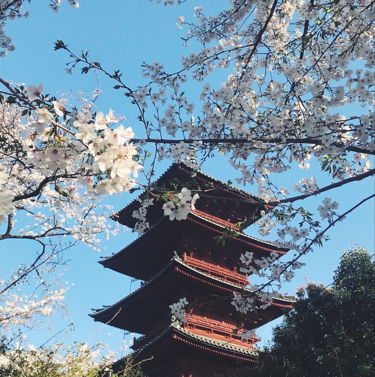 f:id:asacafe:20190416143312j:plain