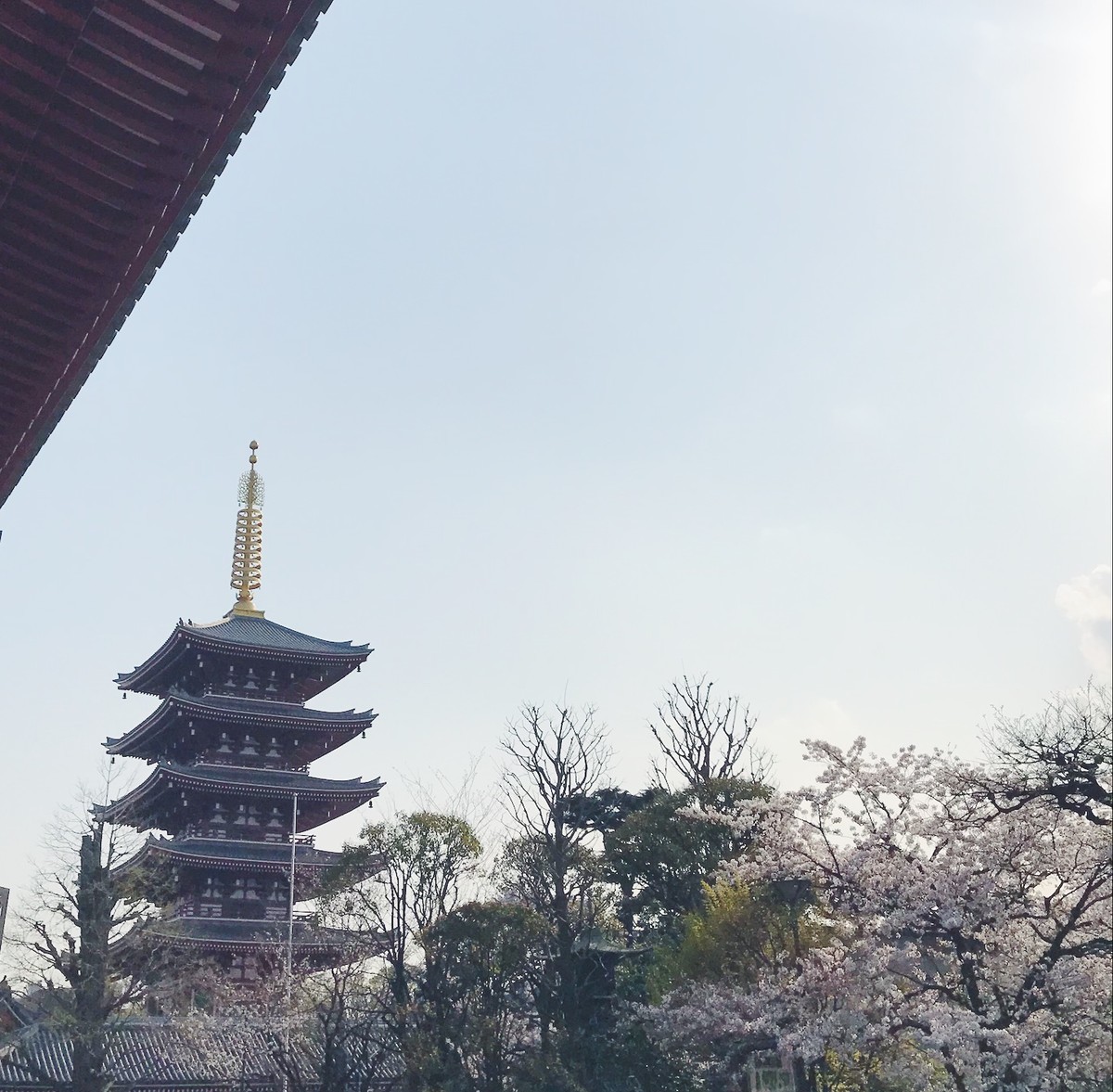 f:id:asacafe:20190416235333j:plain f:id:asacafe:20190416235333j:plain