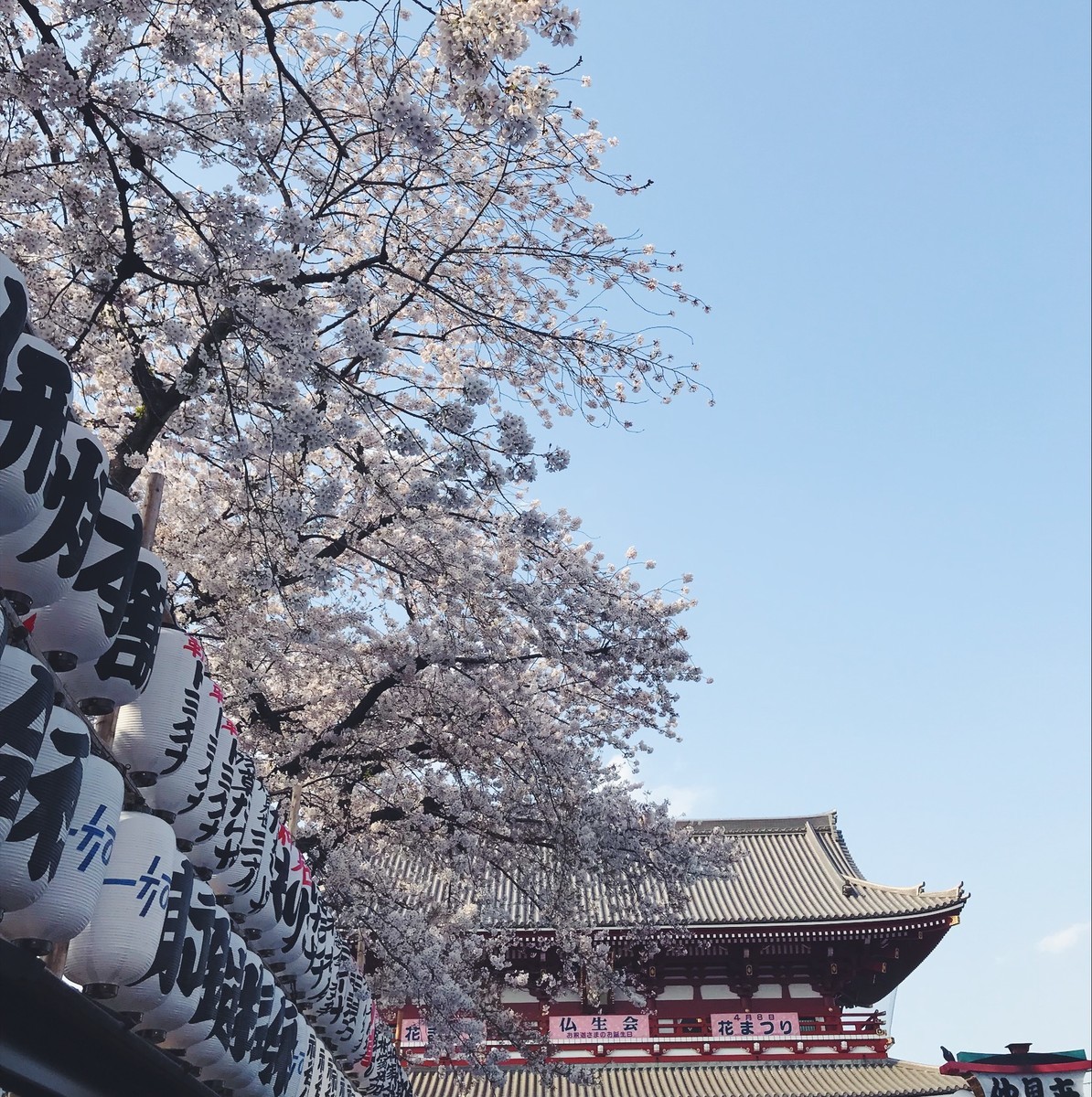f:id:asacafe:20190416235804j:plain f:id:asacafe:20190416235804j:plain