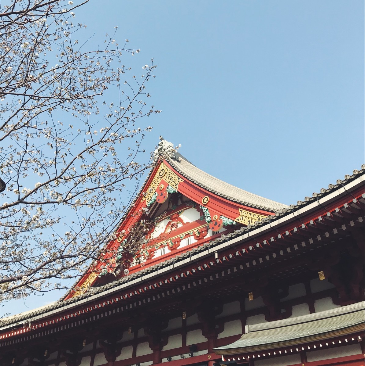 f:id:asacafe:20190417000203j:plain f:id:asacafe:20190417000203j:plain