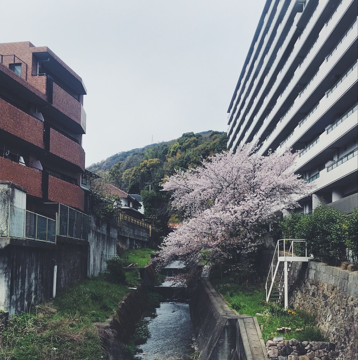 f:id:asacafe:20190417151848j:plain f:id:asacafe:20190417151848j:plain