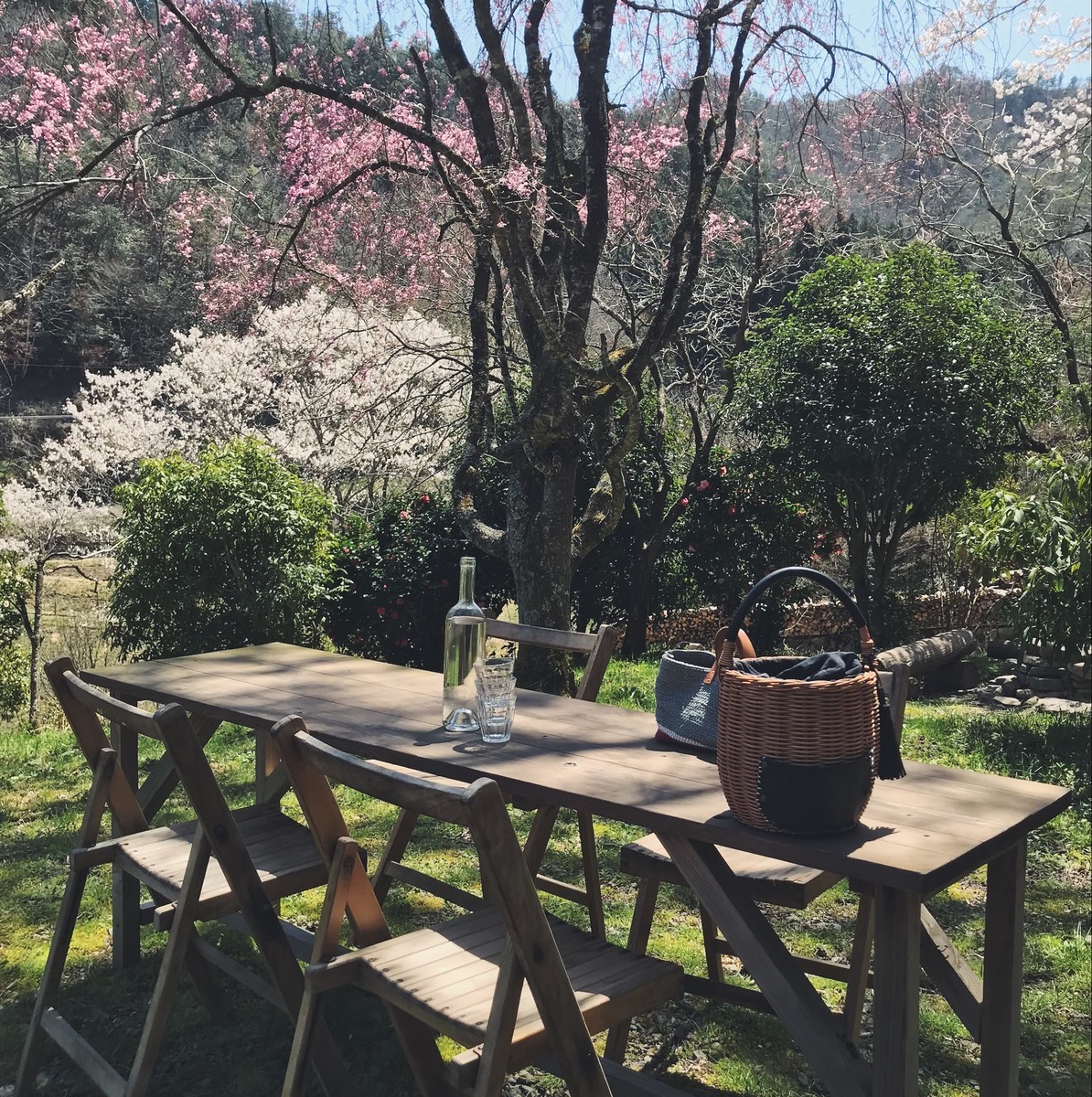 f:id:asacafe:20190417154634j:plain f:id:asacafe:20190417154634j:plain