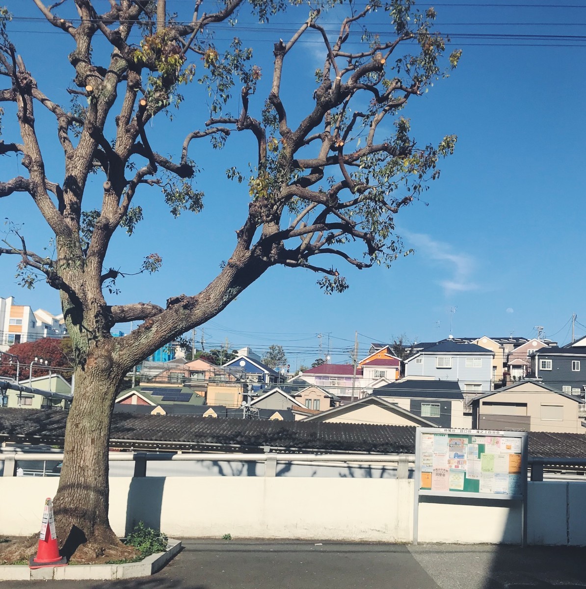 f:id:asacafe:20190417155330j:plain f:id:asacafe:20190417155330j:plain