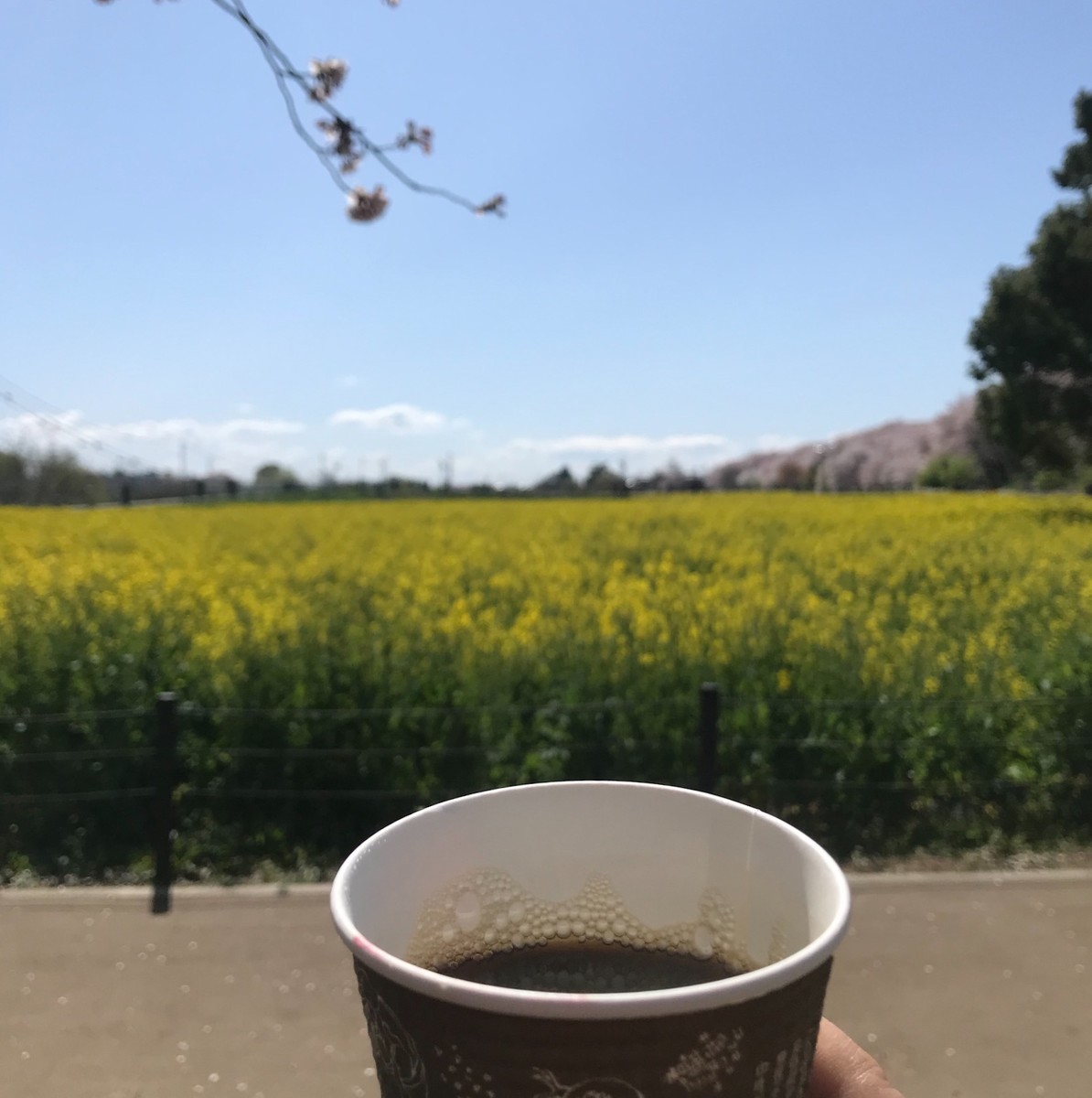 f:id:asacafe:20190419122232j:plain f:id:asacafe:20190419122232j:plain