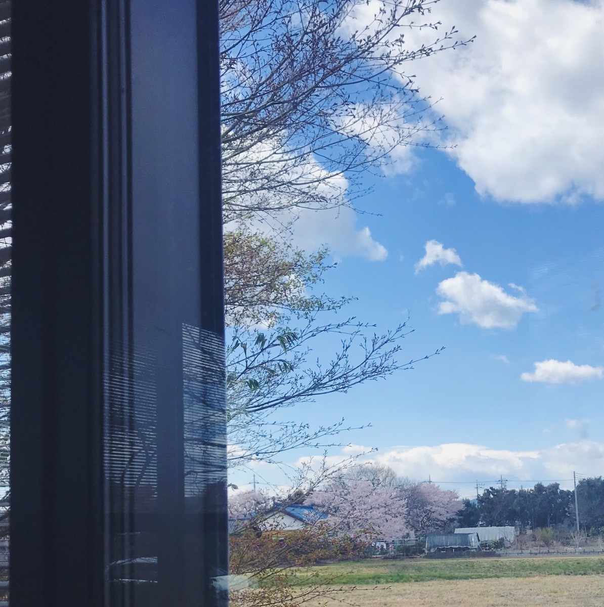 f:id:asacafe:20190419124128j:plain f:id:asacafe:20190419124128j:plain
