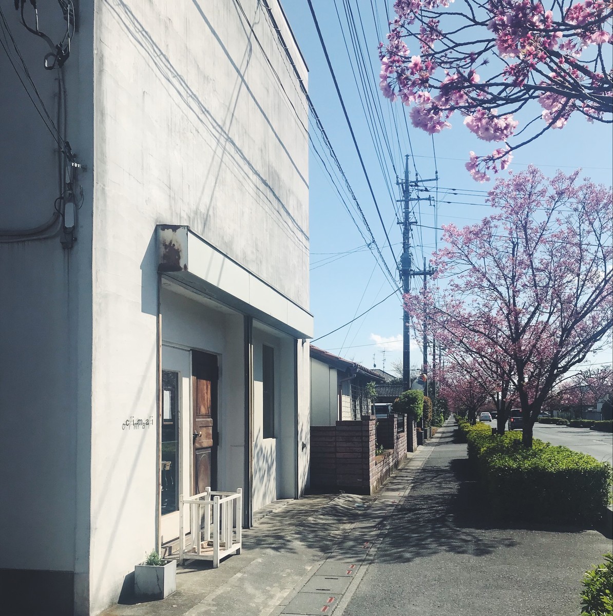f:id:asacafe:20190419185702j:plain f:id:asacafe:20190419185702j:plain