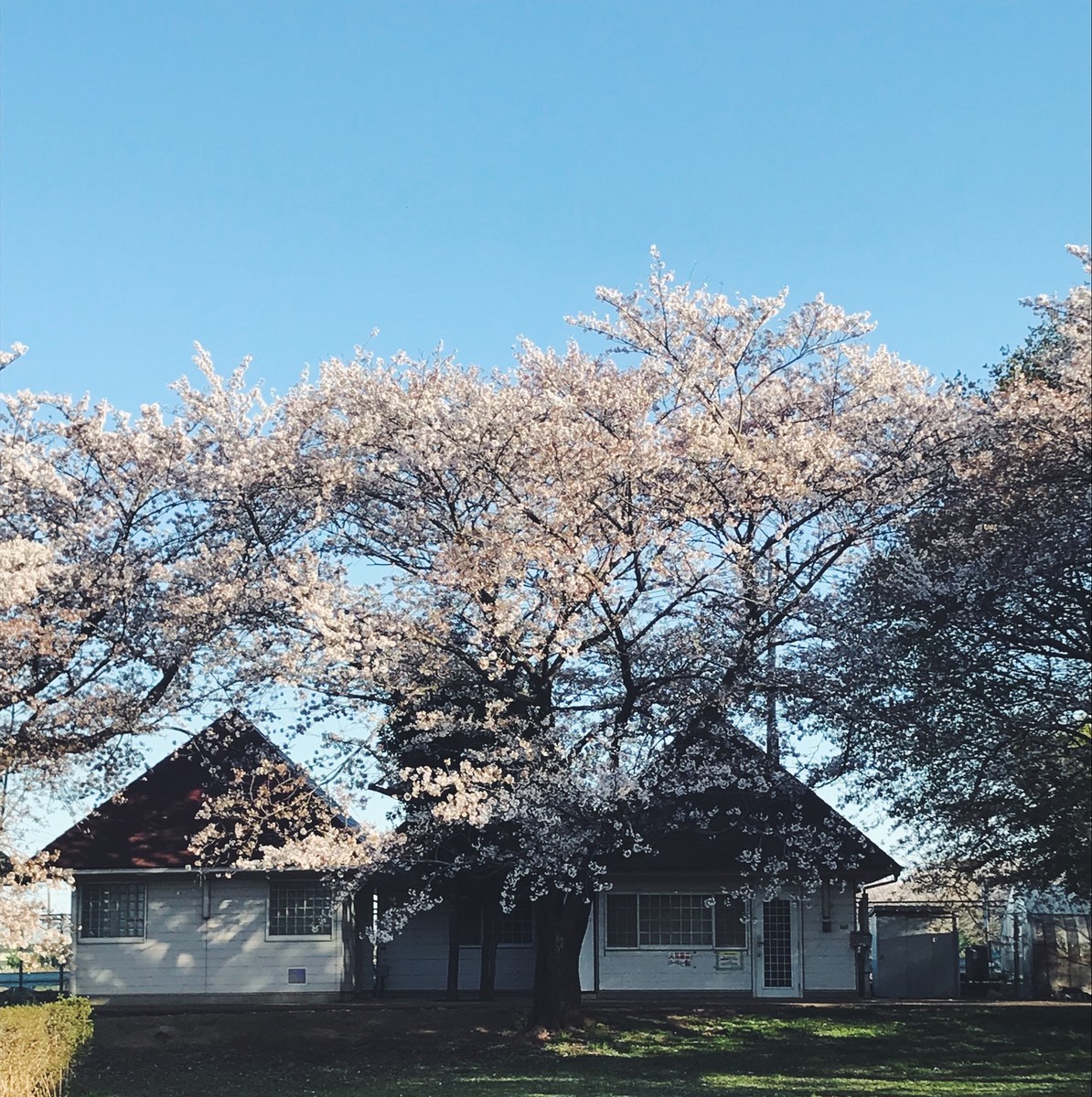 f:id:asacafe:20190420113612j:plain f:id:asacafe:20190420113612j:plain