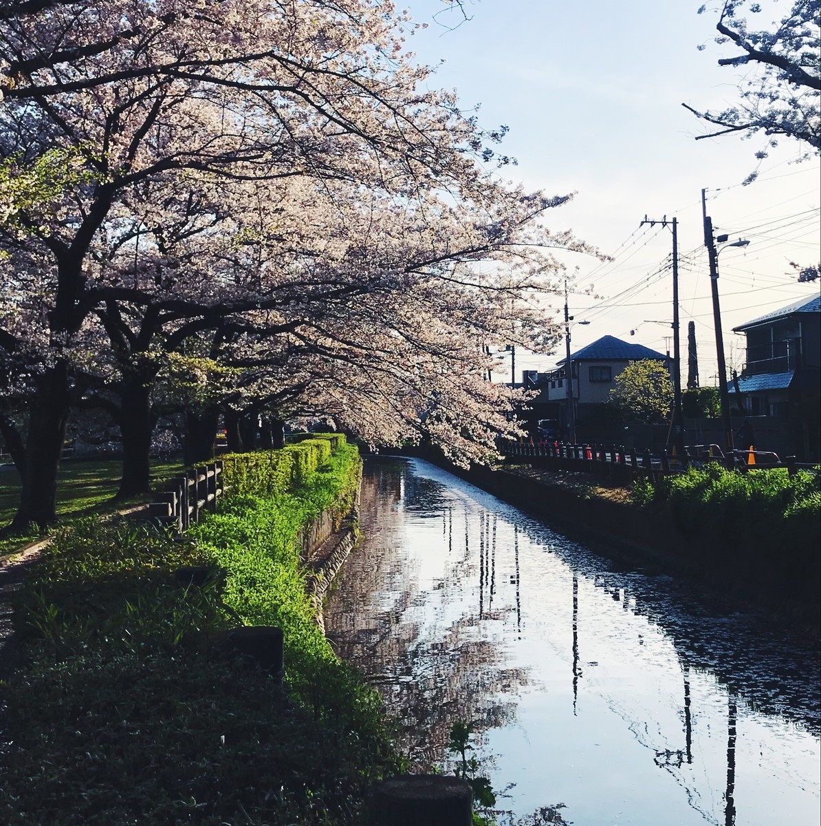 f:id:asacafe:20190420114447j:plain f:id:asacafe:20190420114447j:plain