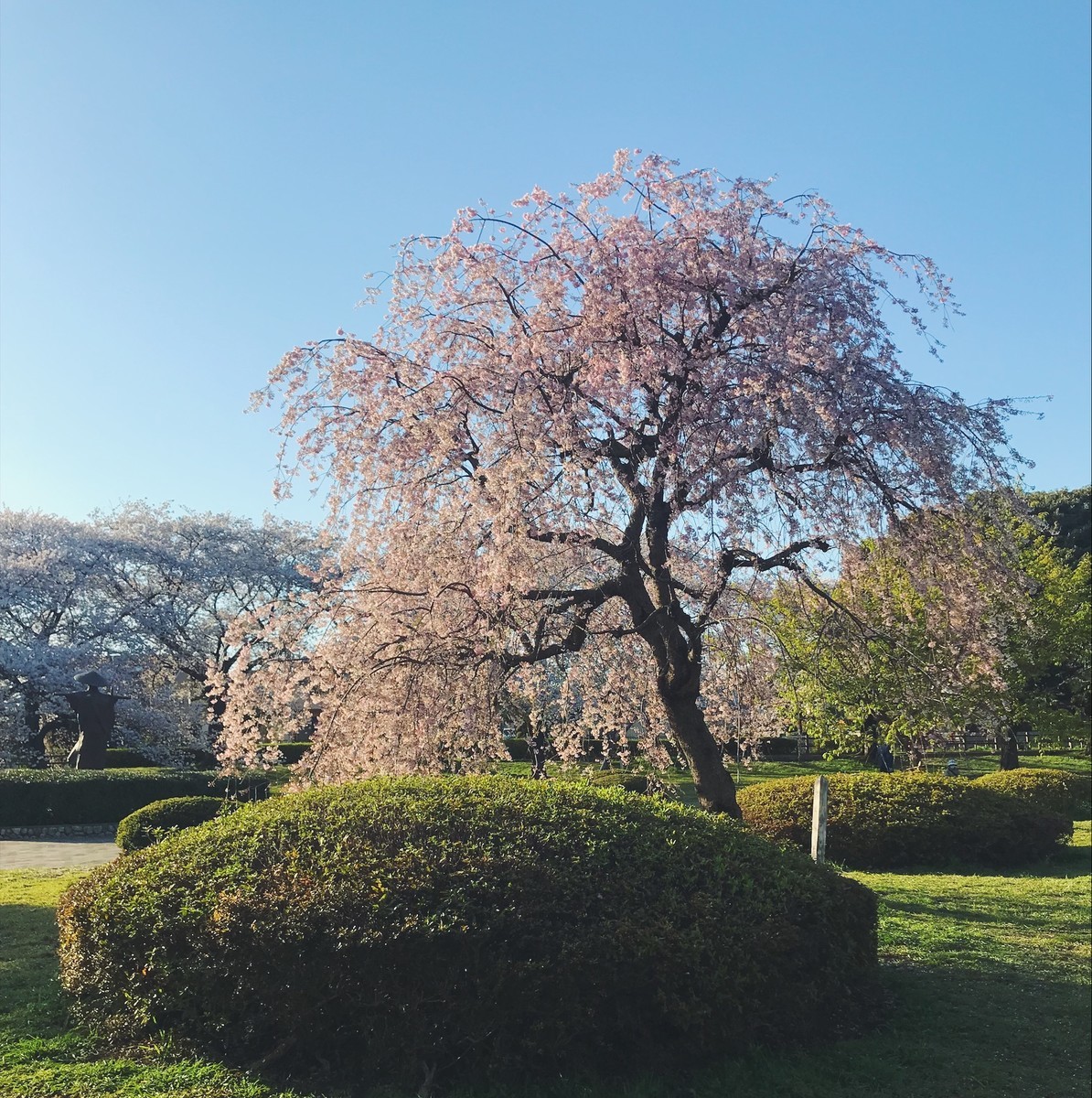 f:id:asacafe:20190420115148j:plain f:id:asacafe:20190420115148j:plain