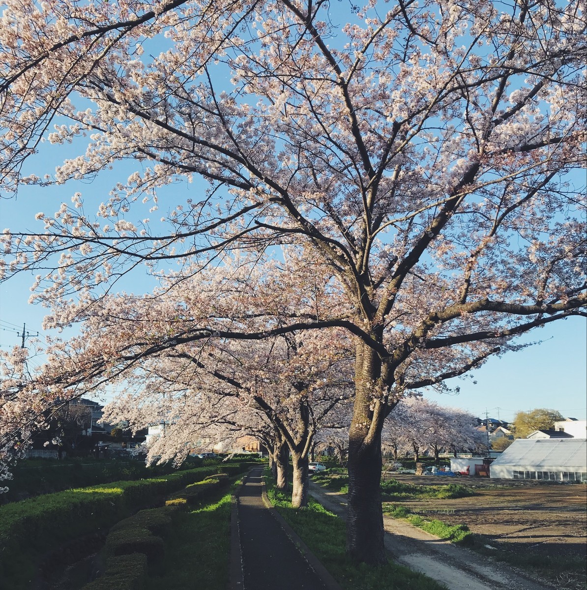 f:id:asacafe:20190420115314j:plain f:id:asacafe:20190420115314j:plain