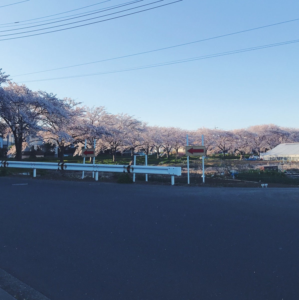 f:id:asacafe:20190420115331j:plain f:id:asacafe:20190420115331j:plain