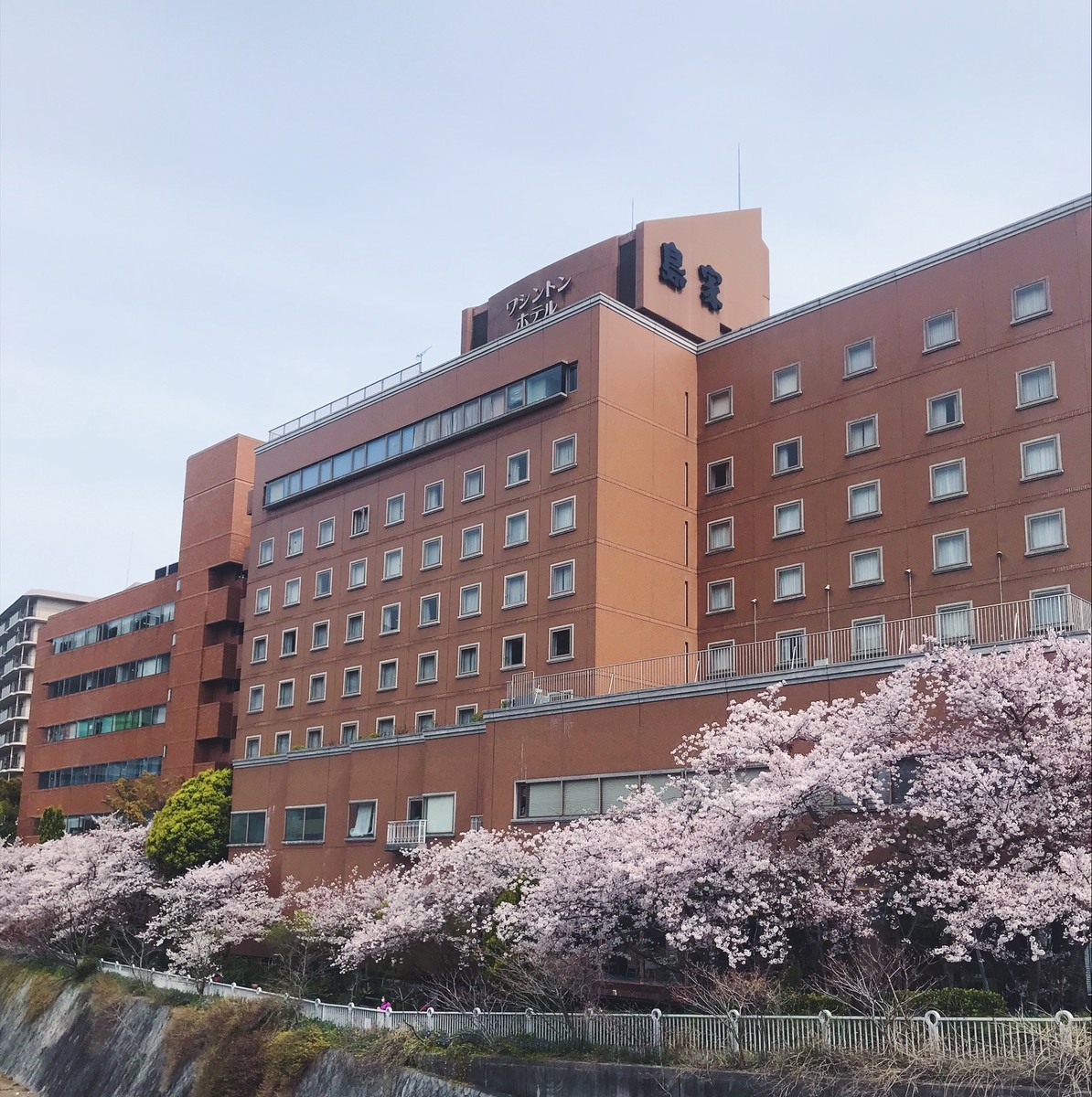 f:id:asacafe:20190420175704j:plain f:id:asacafe:20190420175704j:plain