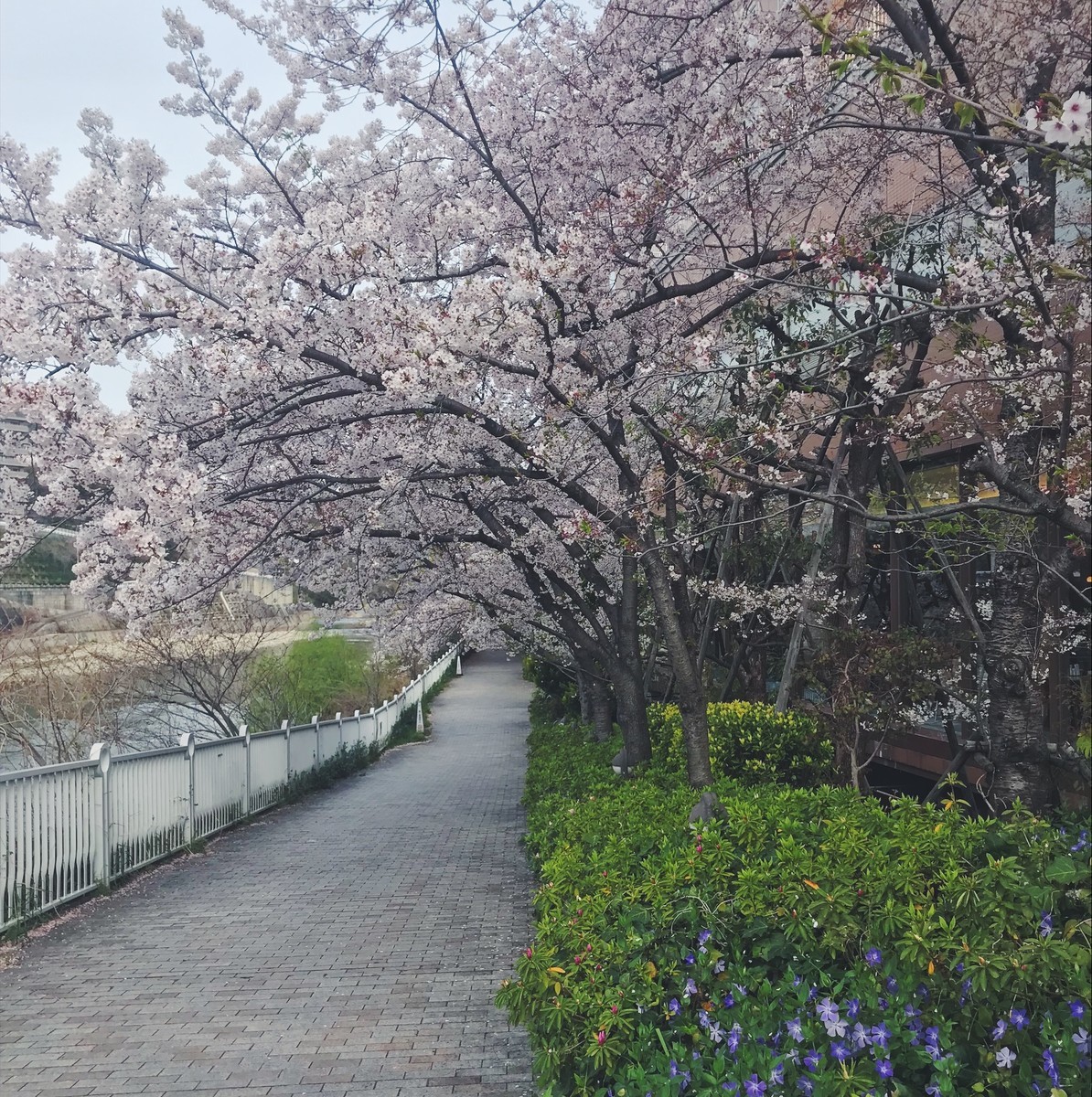 f:id:asacafe:20190420180124j:plain f:id:asacafe:20190420180124j:plain