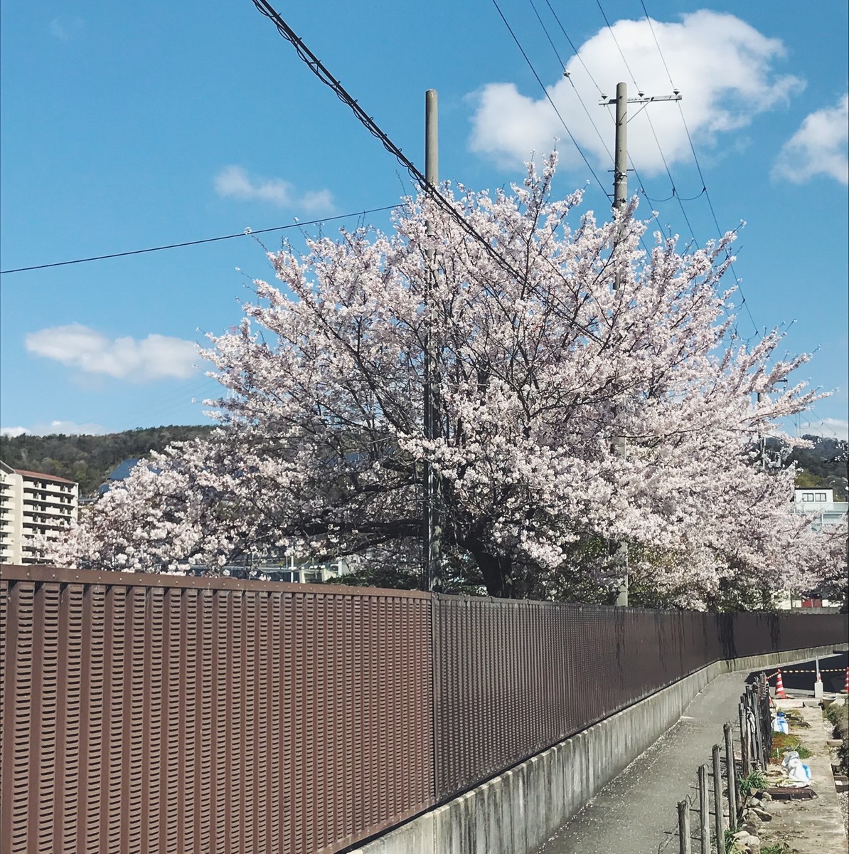 f:id:asacafe:20190420181806j:plain f:id:asacafe:20190420181806j:plain