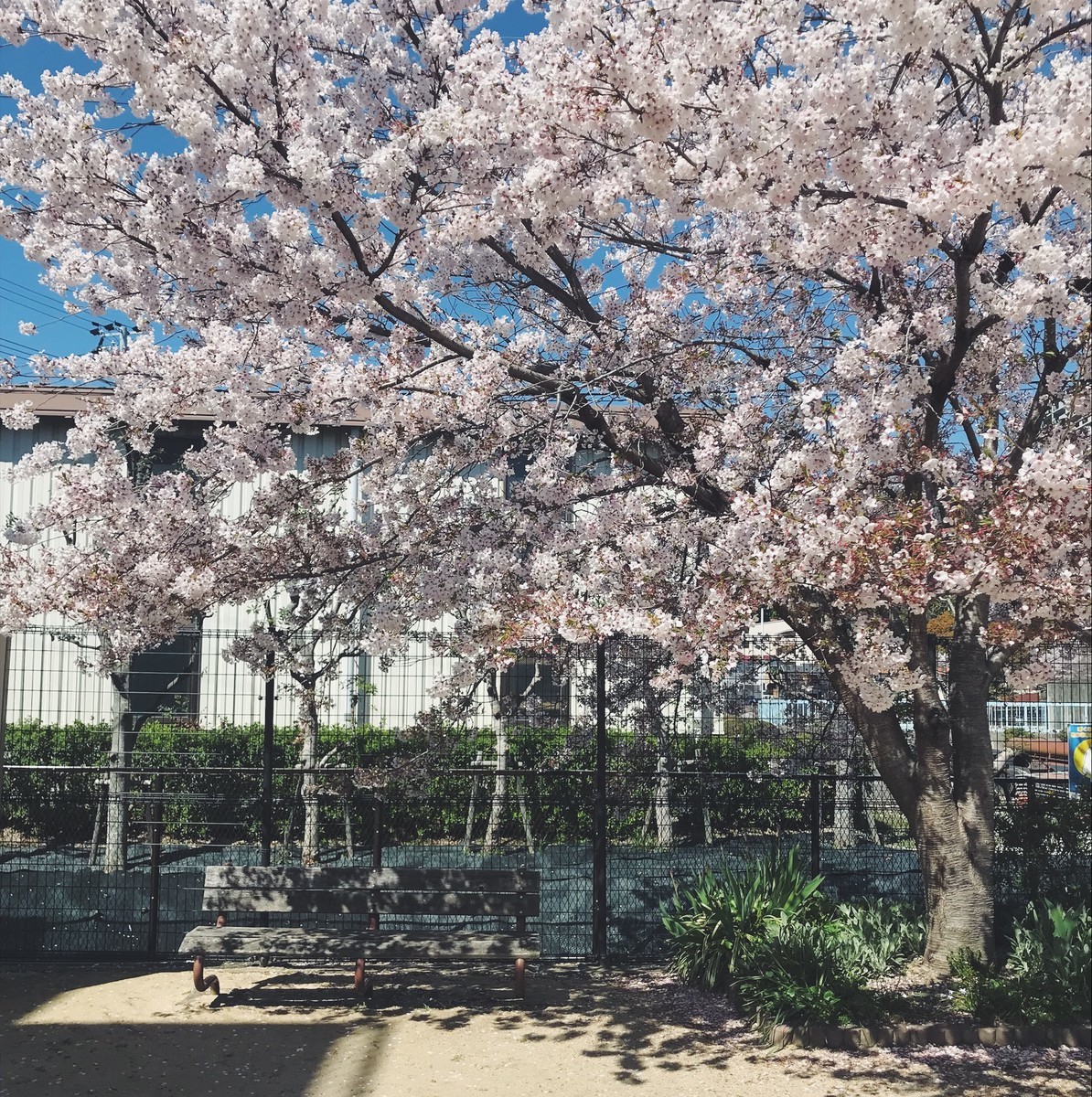 f:id:asacafe:20190420182045j:plain f:id:asacafe:20190420182045j:plain