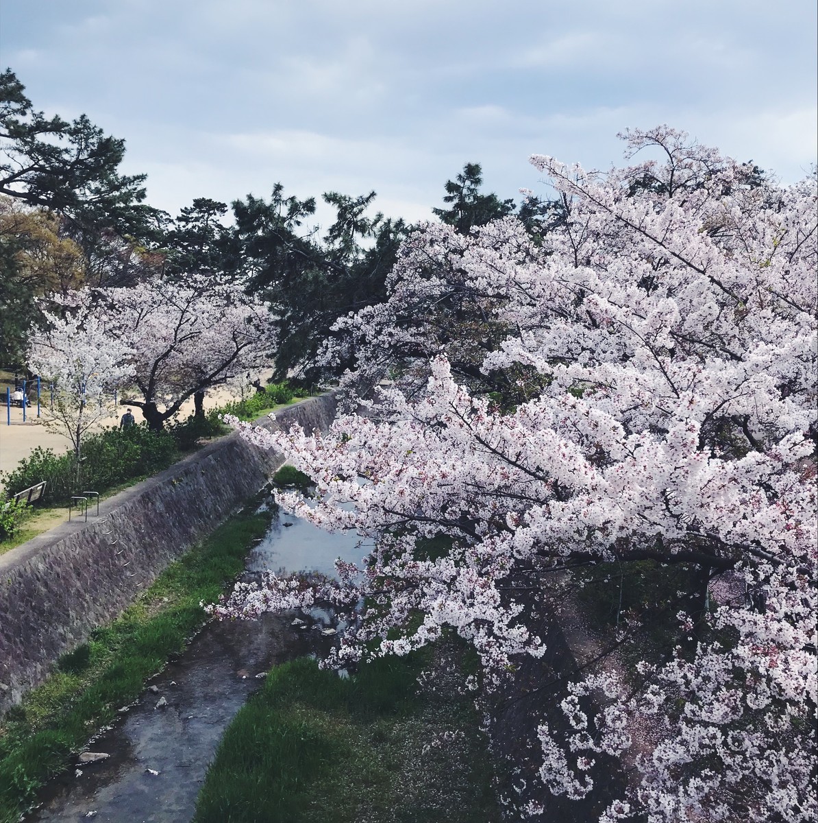 f:id:asacafe:20190420183648j:plain f:id:asacafe:20190420183648j:plain