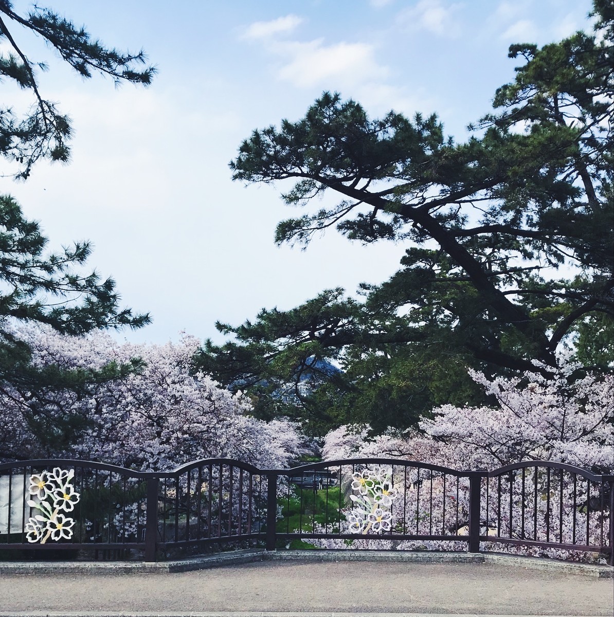 f:id:asacafe:20190420183815j:plain f:id:asacafe:20190420183815j:plain