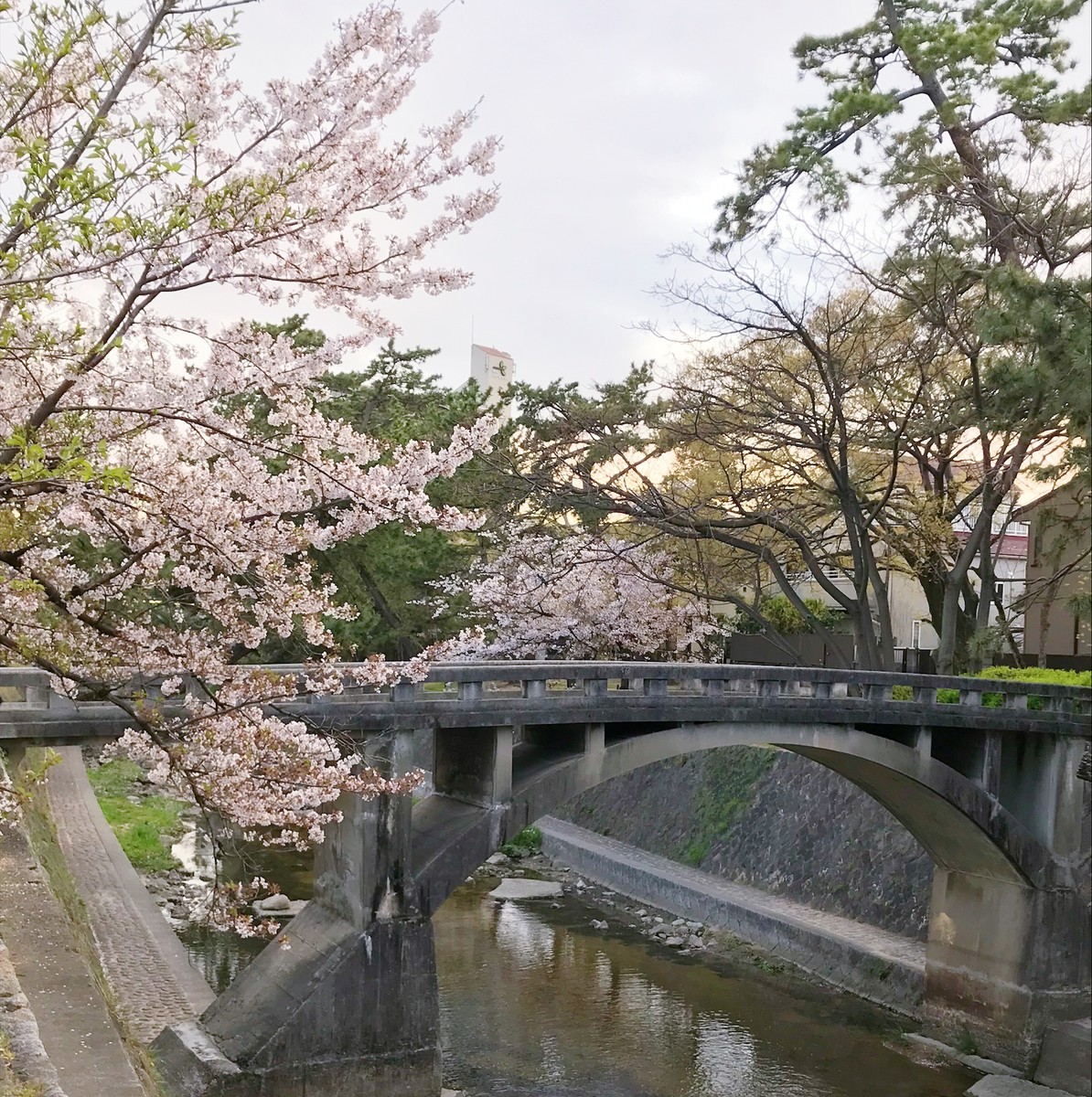 f:id:asacafe:20190420183837j:plain f:id:asacafe:20190420183837j:plain