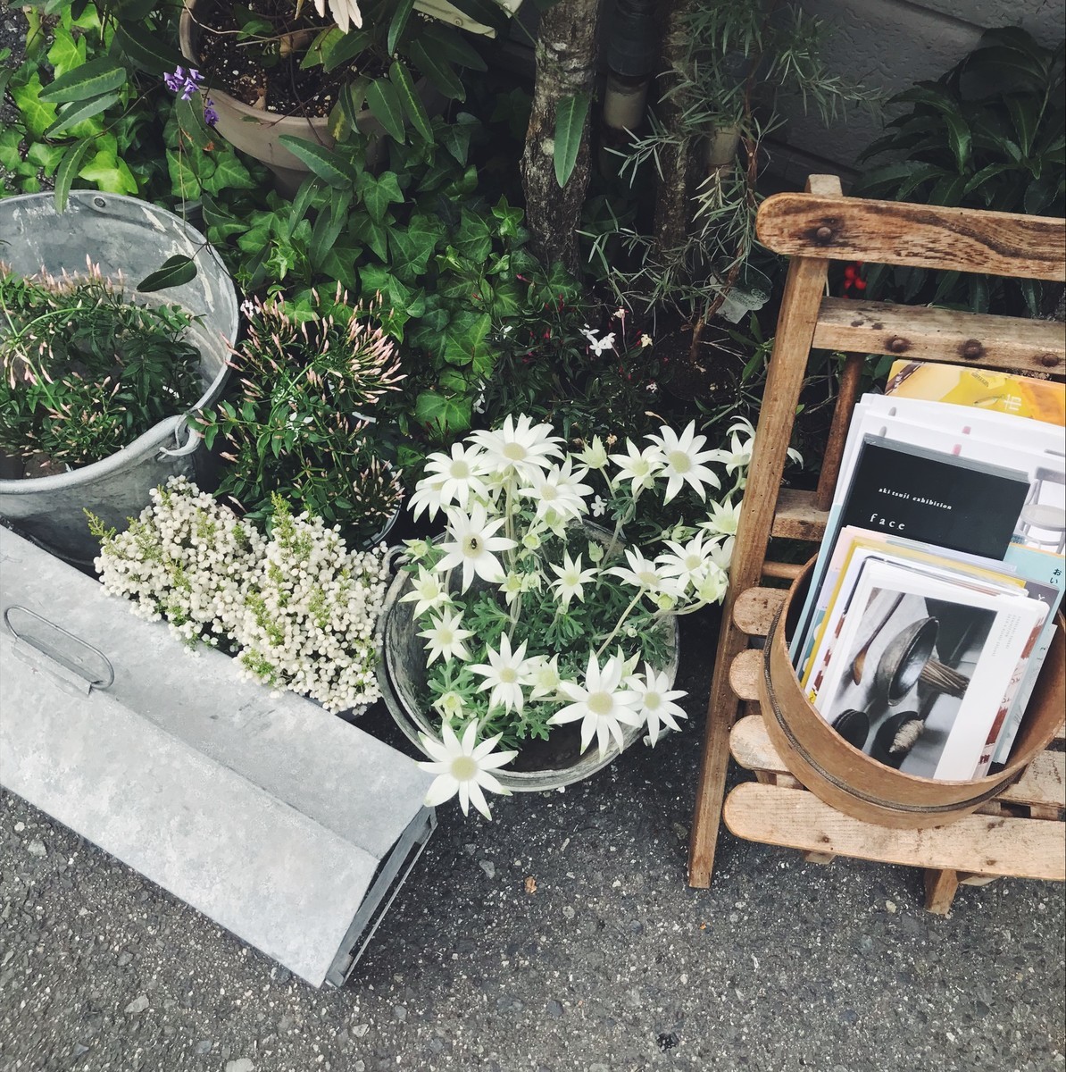 f:id:asacafe:20190421021318j:plain f:id:asacafe:20190421021318j:plain