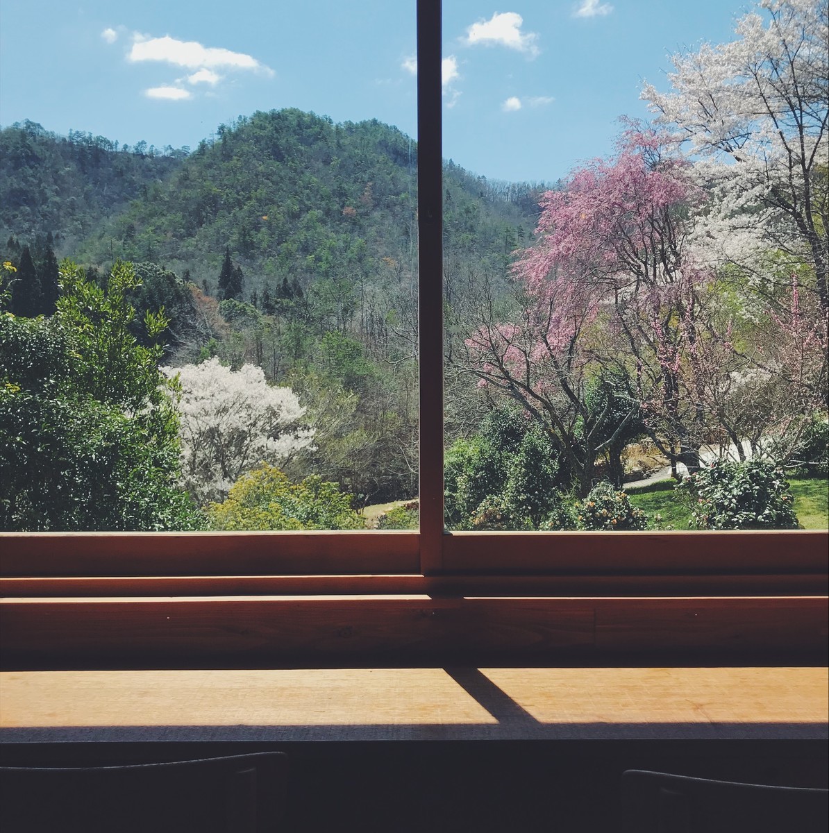 f:id:asacafe:20190424095225j:plain f:id:asacafe:20190424095225j:plain