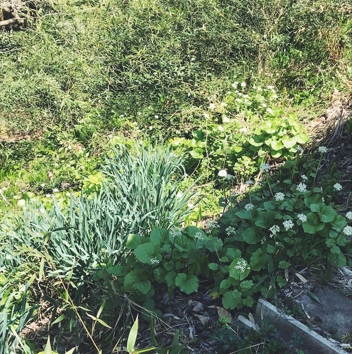 f:id:asacafe:20190424095912j:plain f:id:asacafe:20190424095912j:plain