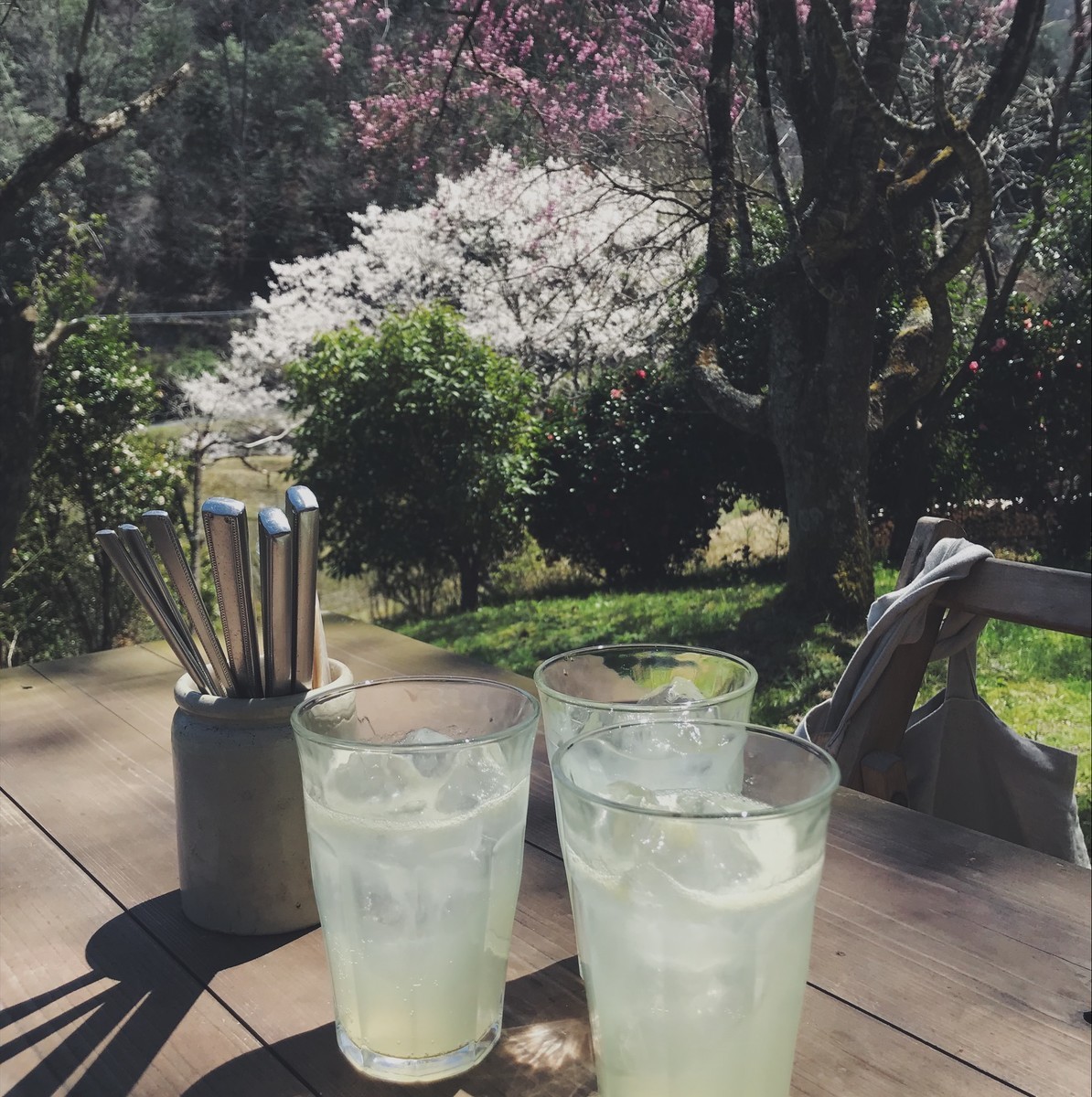 f:id:asacafe:20190424101638j:plain f:id:asacafe:20190424101638j:plain