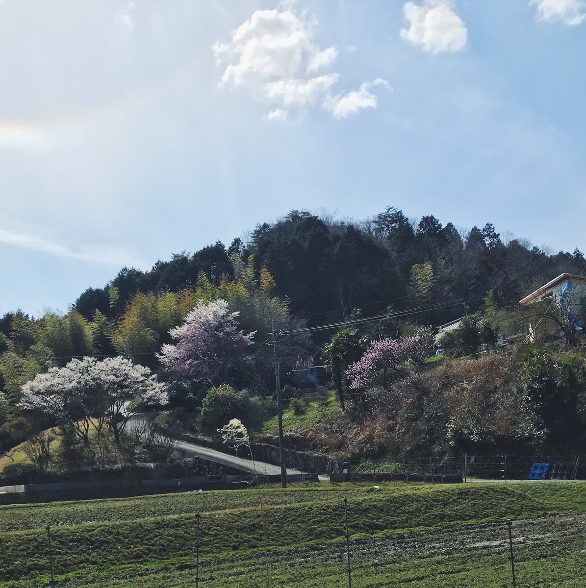 f:id:asacafe:20190424102631j:plain f:id:asacafe:20190424102631j:plain