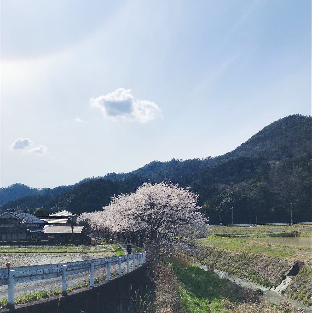 f:id:asacafe:20190424221618j:plain f:id:asacafe:20190424221618j:plain