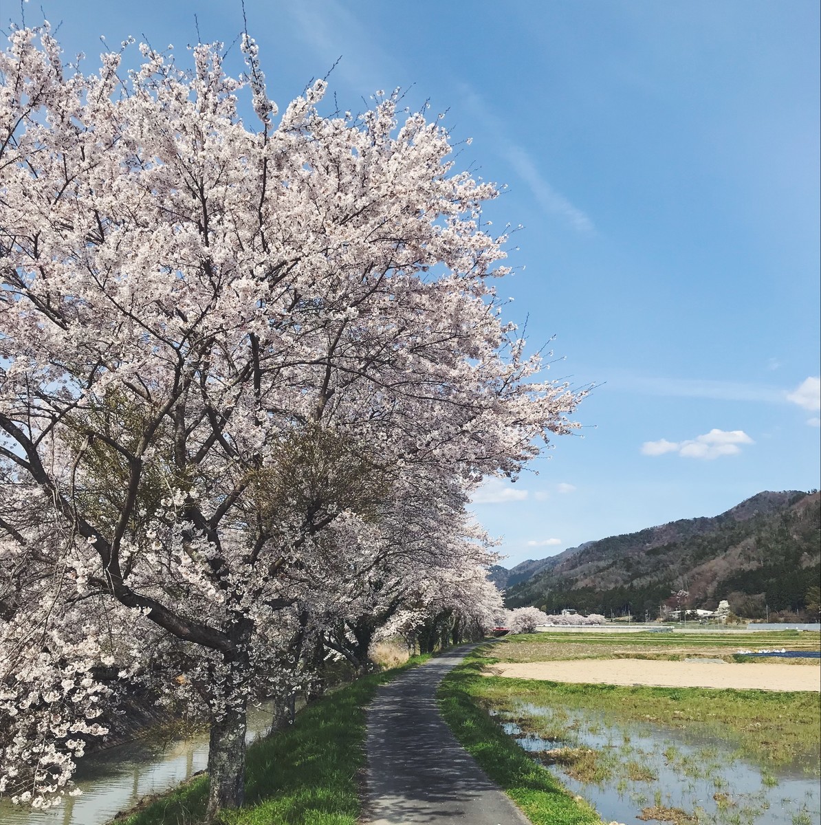 f:id:asacafe:20190424221739j:plain f:id:asacafe:20190424221739j:plain