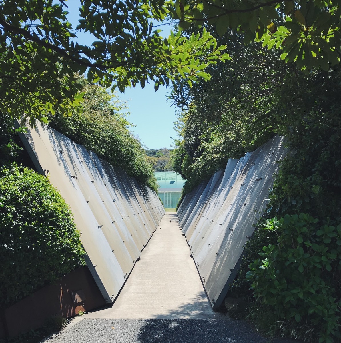 f:id:asacafe:20190425062314j:plain f:id:asacafe:20190425062314j:plain