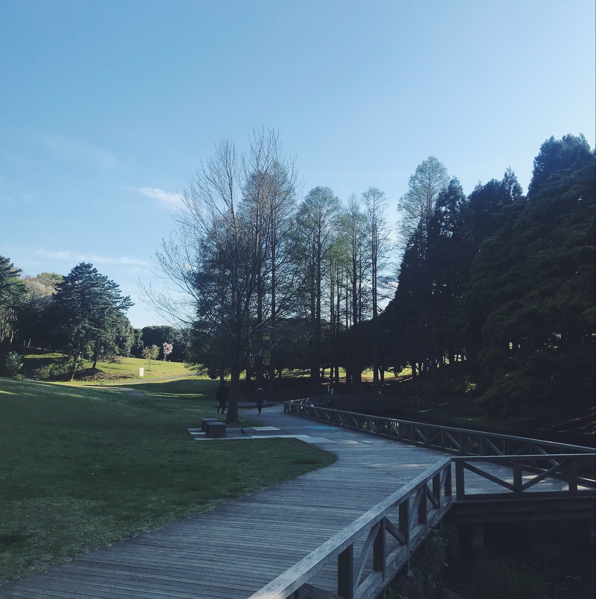 f:id:asacafe:20190425113221j:plain f:id:asacafe:20190425113221j:plain