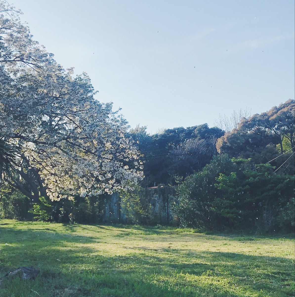 f:id:asacafe:20190425113449j:plain f:id:asacafe:20190425113449j:plain