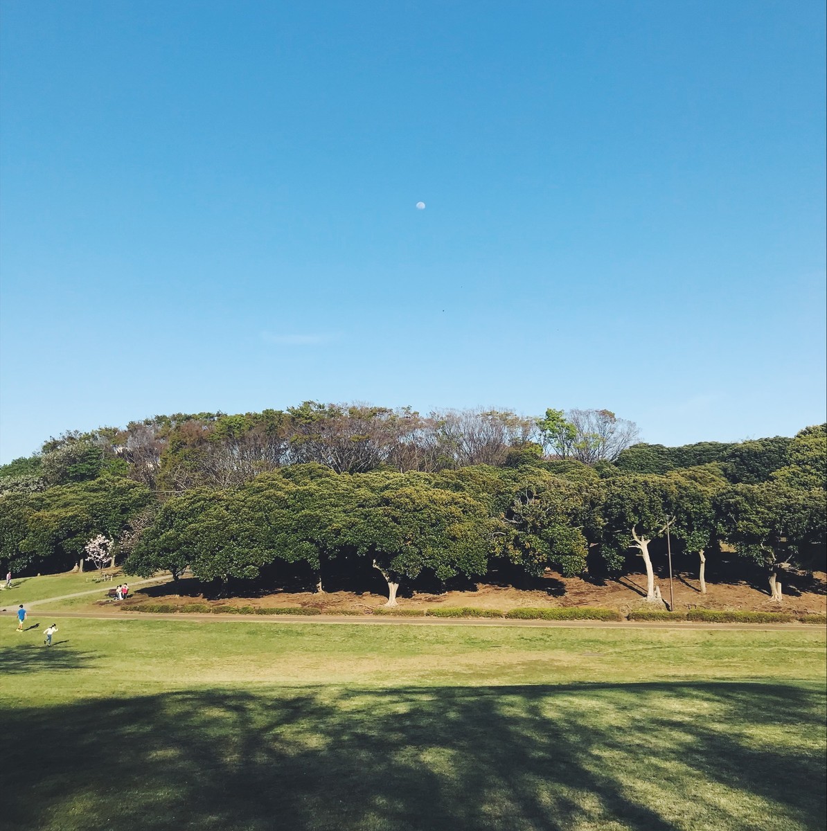 f:id:asacafe:20190425113519j:plain f:id:asacafe:20190425113519j:plain