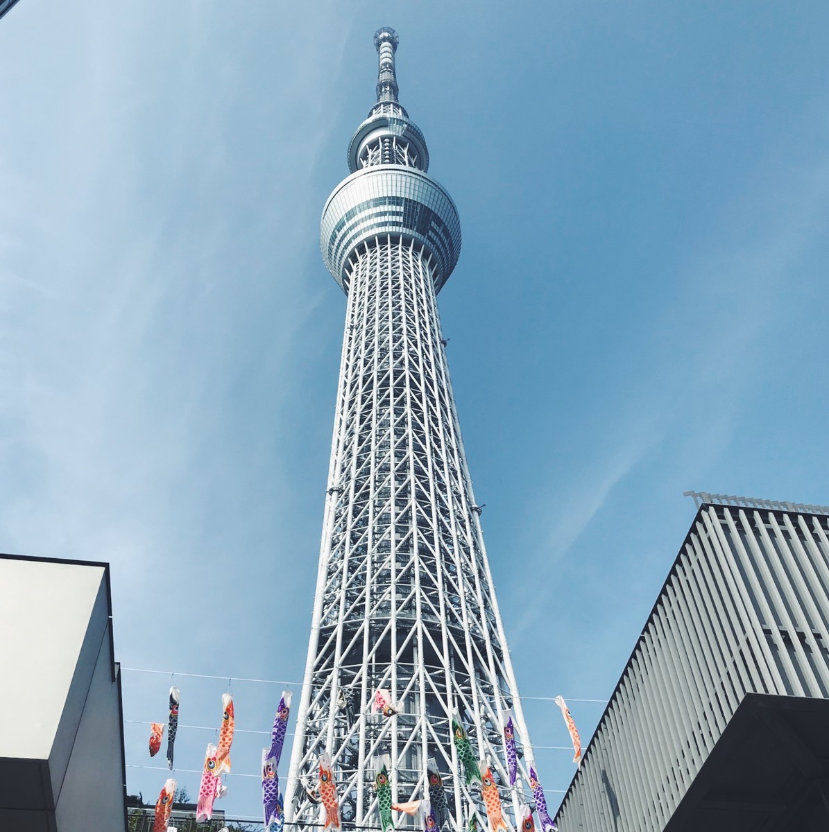 f:id:asacafe:20190426005916j:plain f:id:asacafe:20190426005916j:plain