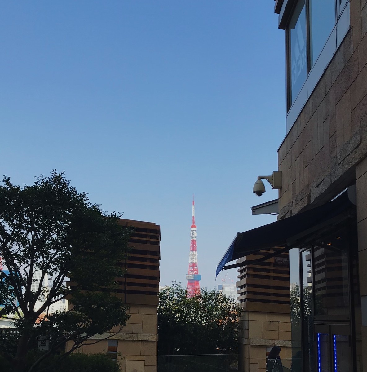 f:id:asacafe:20190427130838j:plain f:id:asacafe:20190427130838j:plain
