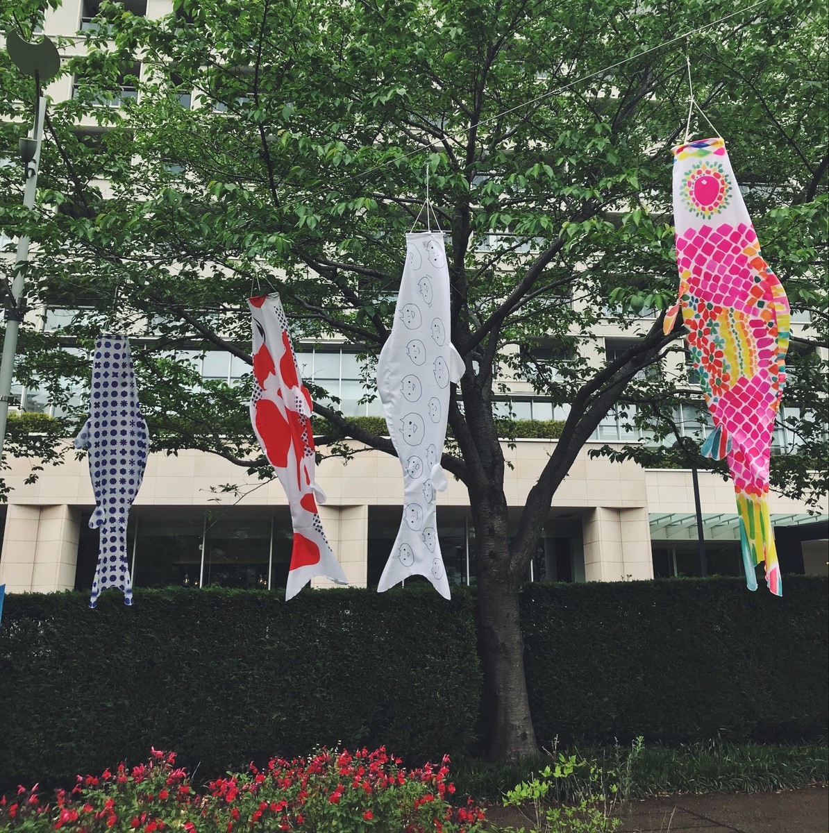 f:id:asacafe:20190512072436j:plain