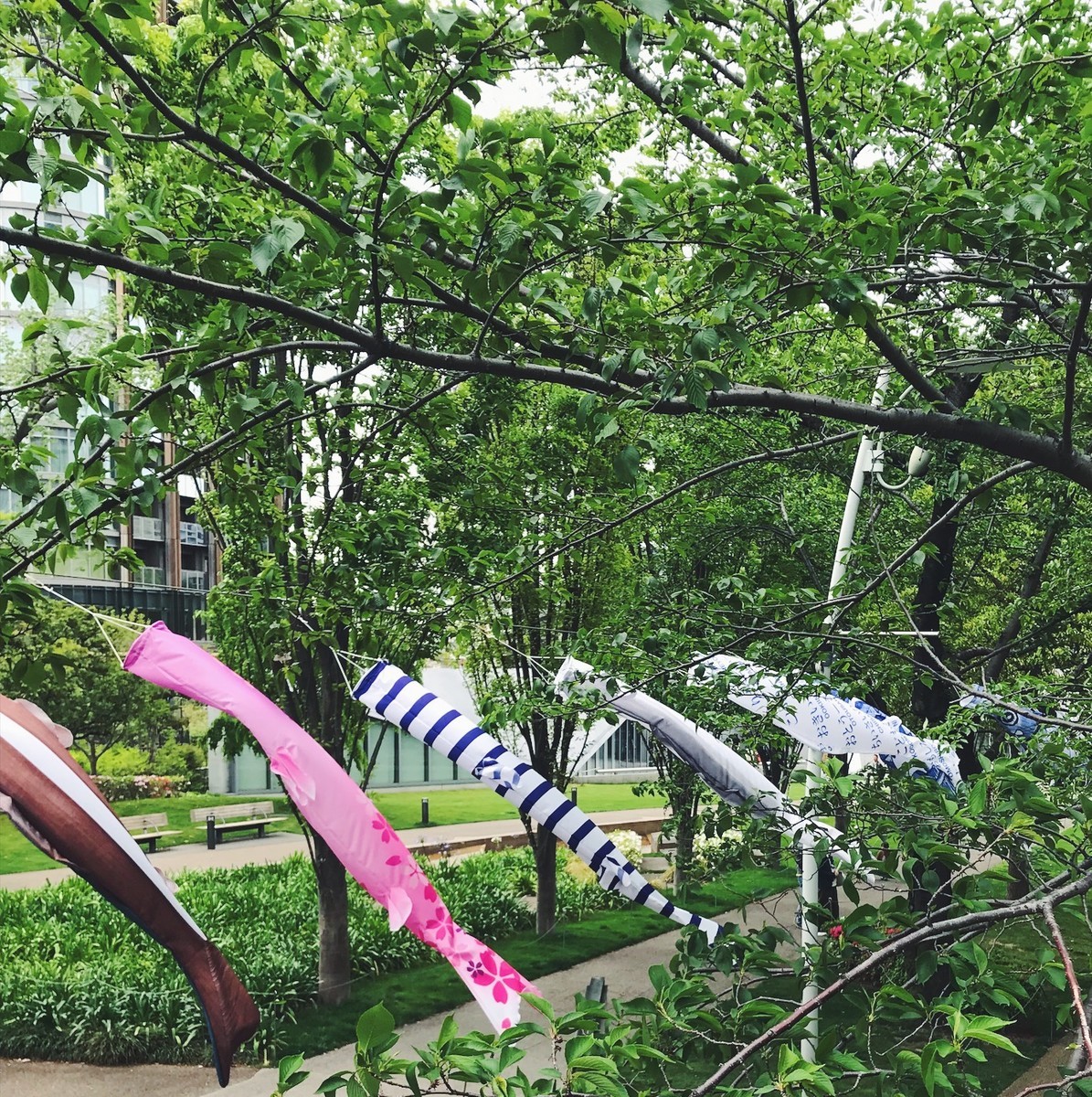 f:id:asacafe:20190512072645j:plain