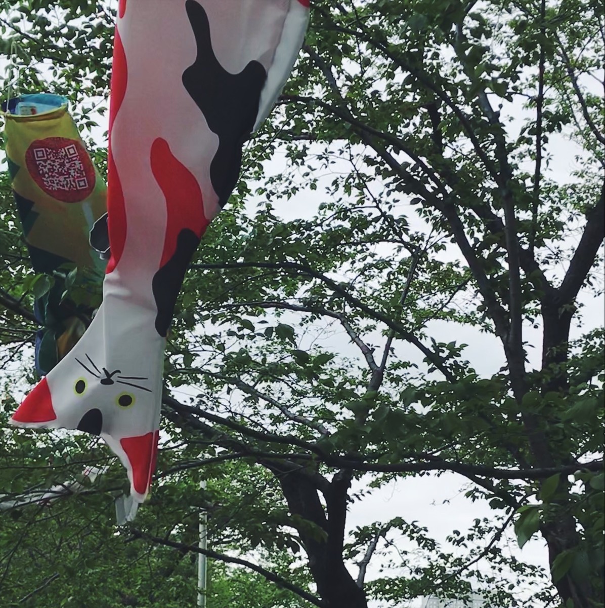 f:id:asacafe:20190512072730j:plain