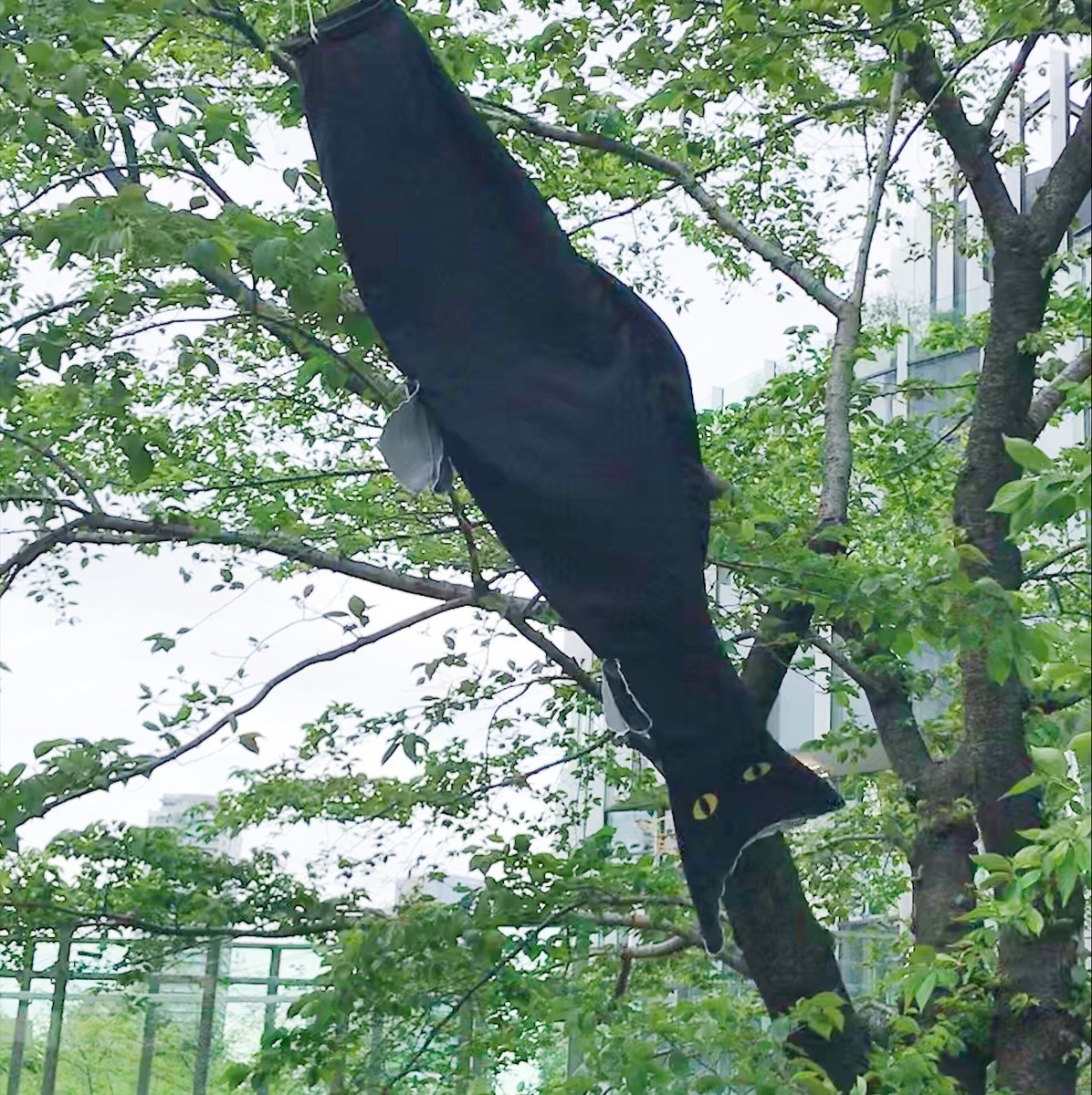 f:id:asacafe:20190512072811j:plain