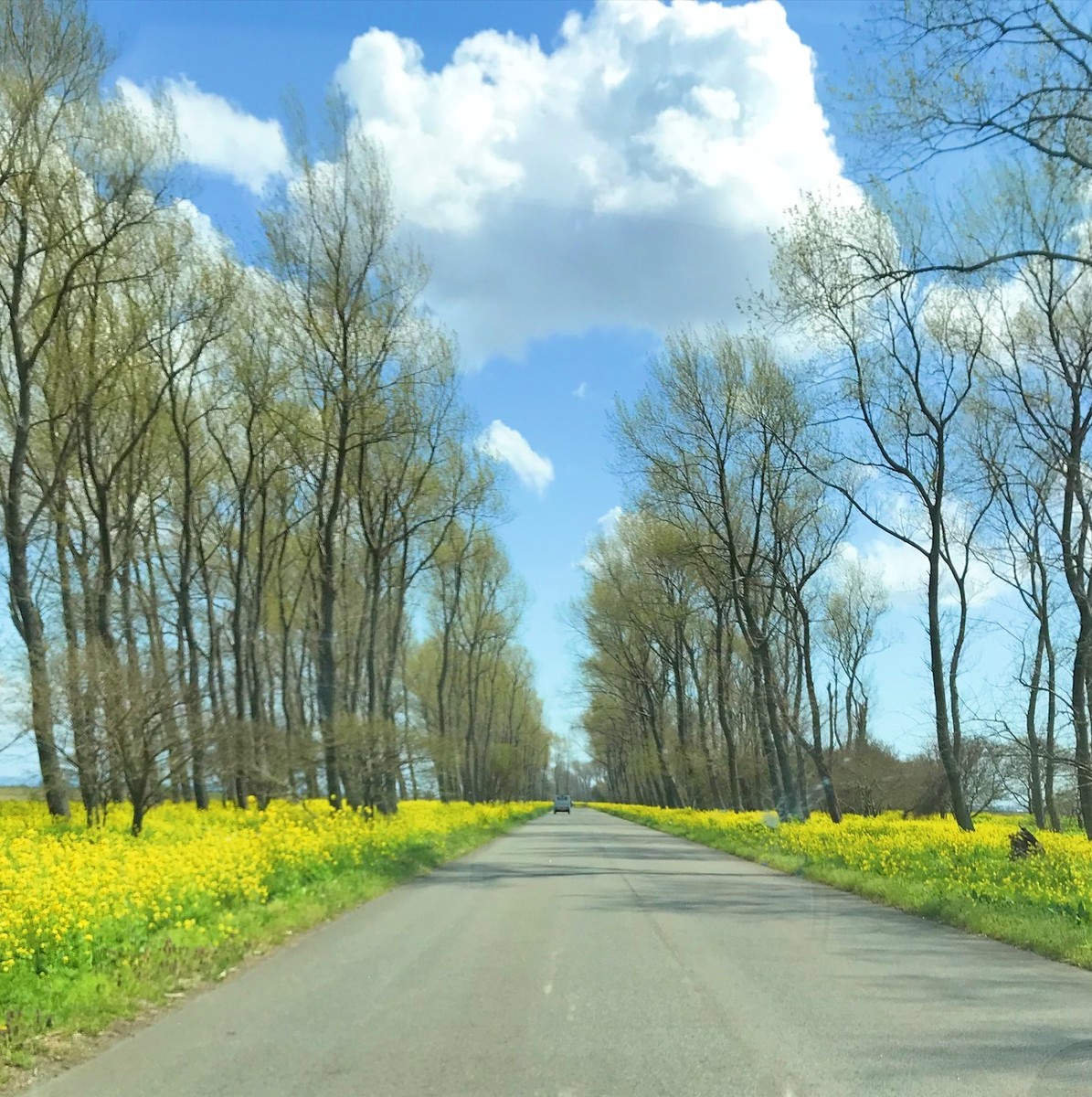 f:id:asacafe:20190512162247j:plain f:id:asacafe:20190512162247j:plain
