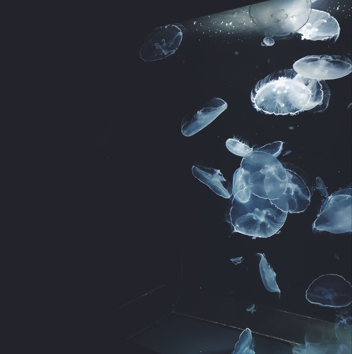 f:id:asacafe:20190512163535j:plain f:id:asacafe:20190512163535j:plain