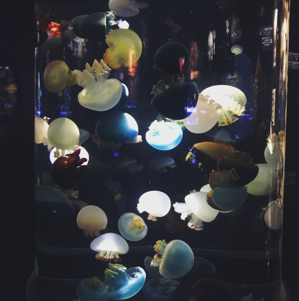 f:id:asacafe:20190512163625j:plain f:id:asacafe:20190512163625j:plain